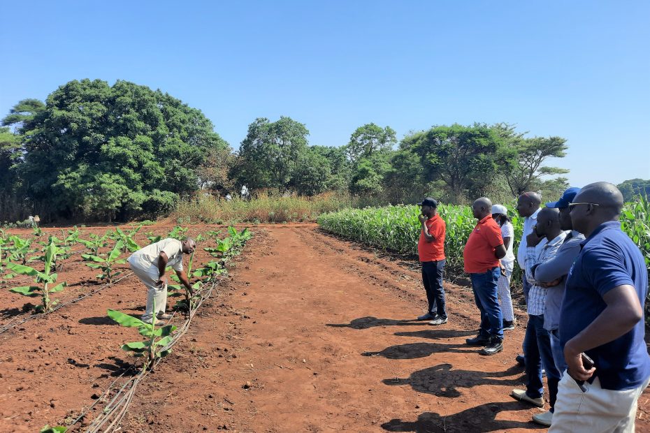 An official from Hortinet Limited (L) making a presentation on banana value chain during field demostration tour at CAT_Bunda Smart Farm in Nov 2021